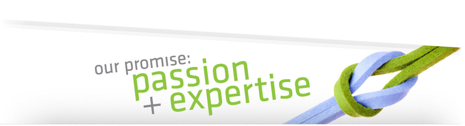 showcase_capabilities_05